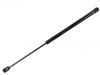 Gas Spring:55360411AA