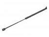 Gas Spring:1451 195