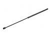 Gas Spring:81.61140.0016