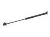 Gas Spring:758 296