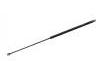 Gas Spring:81.74821.0095
