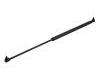 Gas Spring:4675806