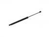 Gasdruckfeder Gas Spring:81771-2W000