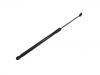 Gasdruckfeder Gas Spring:80A 827 552 C