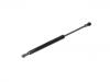 Gasdruckfeder Gas Spring:9485706