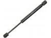 Gas Spring:606 224 24