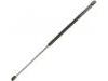 Gasdruckfeder Gas Spring:82 00 212 598