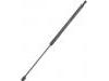 Gasdruckfeder Gas Spring:81771-2C010