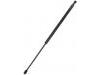 Gas Spring:81771-26011