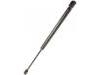 Gasdruckfeder Gas Spring:8731.K9