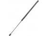 Gas Spring:13247867