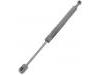 Gasdruckfeder Gas Spring:48 55 094