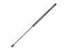 Gasdruckfeder Gas Spring:11 78 224