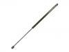 Gasdruckfeder Gas Spring:7925.13