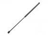 Gasdruckfeder Gas Spring:1 539 291