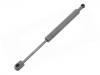 Gasdruckfeder Gas Spring:48 54 758