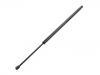 Gasdruckfeder Gas Spring:82 00 021 974